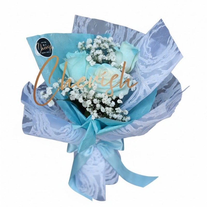 V2 - BLUE ROMANCE
