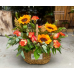 FF01 - Sunflower mix flowers basket arrangement