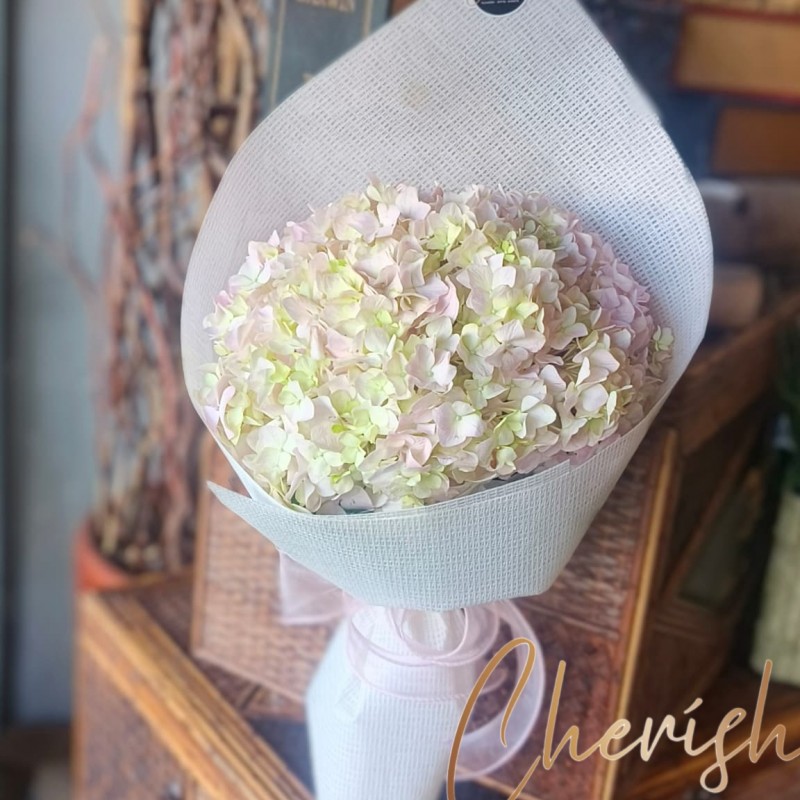 520-11 - Eternal Grace Pastel Hydrangea Hand Bouquet