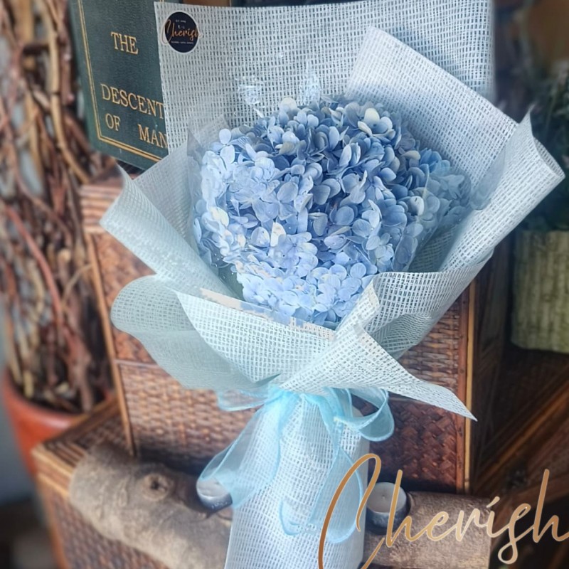 520-12 - Cherish Signature Single Blue Hydrangea
