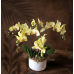 PO01 - Golden Phalaenopsis Orchids in Pot