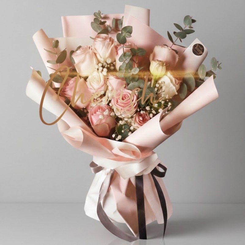 V9 - Blush Dream