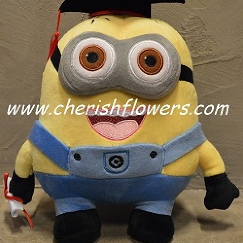 AOT28 - GRADUATION MINION