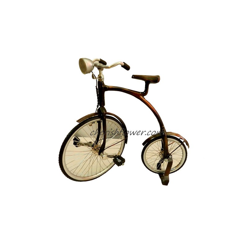 XG08 - Penny-Farthing Bike