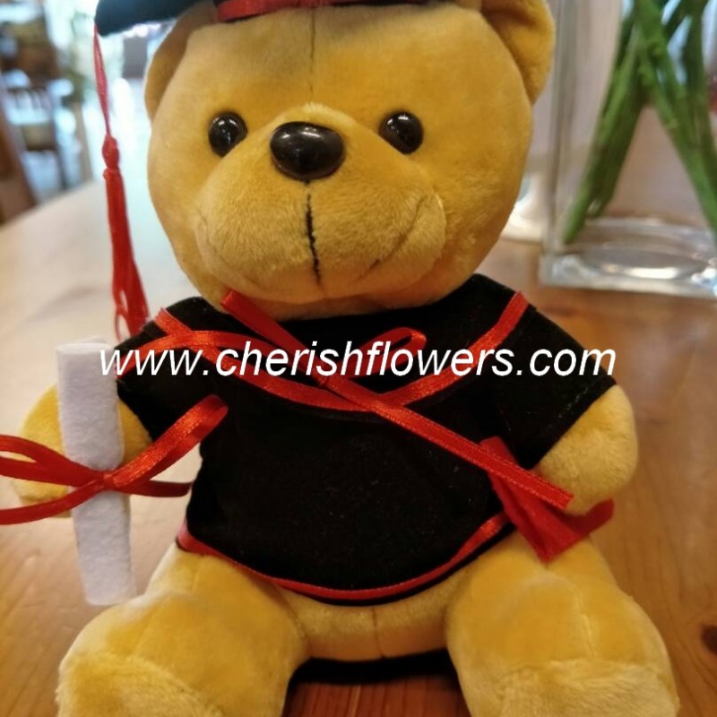 AOT26 - GRADUATION TEDDY