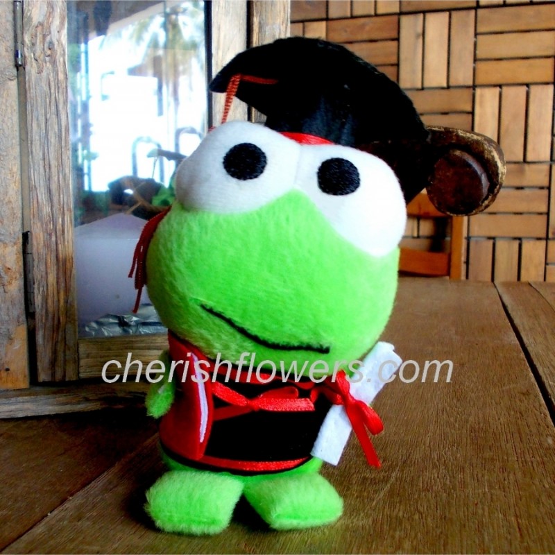 AOT24 - GRADUATION FROG