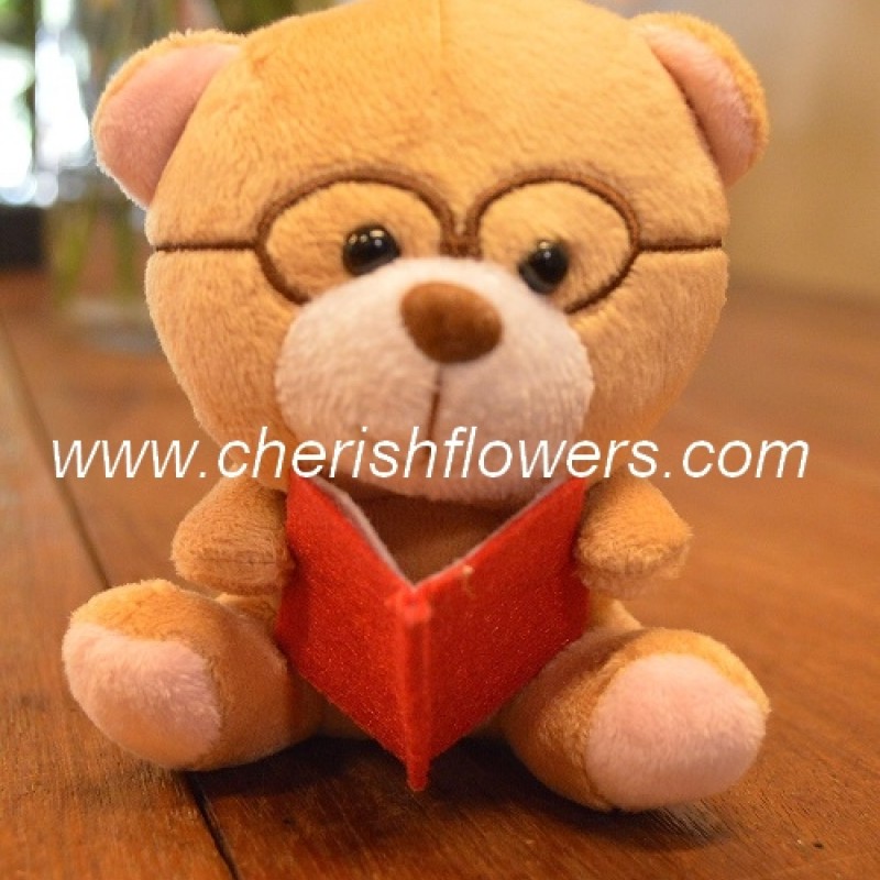 AOT34 - Bear Holding with Book(Brown)