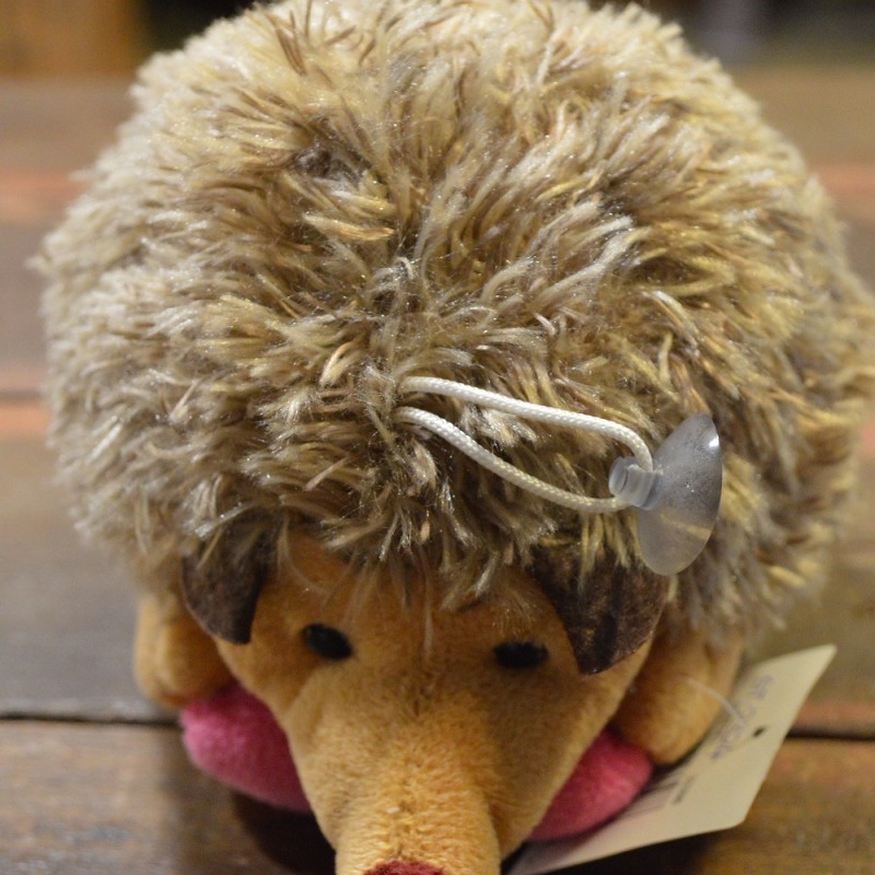 AOT29 - Cute Hedgehog