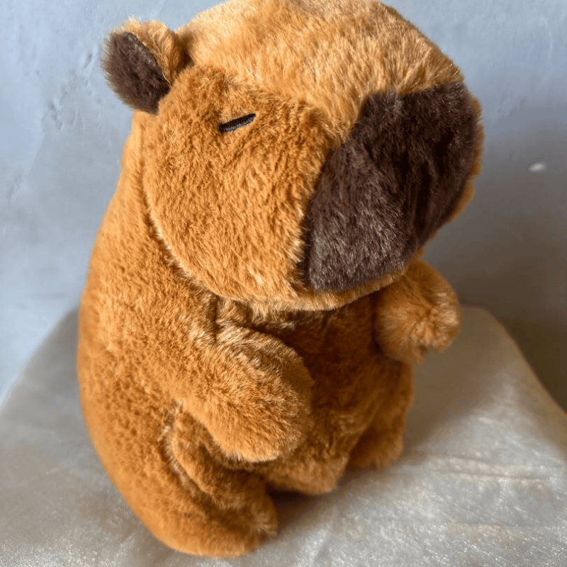 AOT01 - Capybara